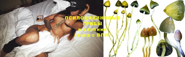 метадон Богданович