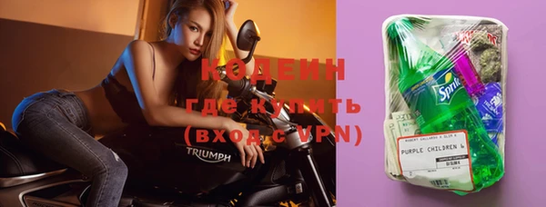 метадон Богданович