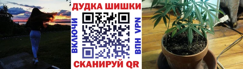 наркотики  Светлый  Каннабис план 